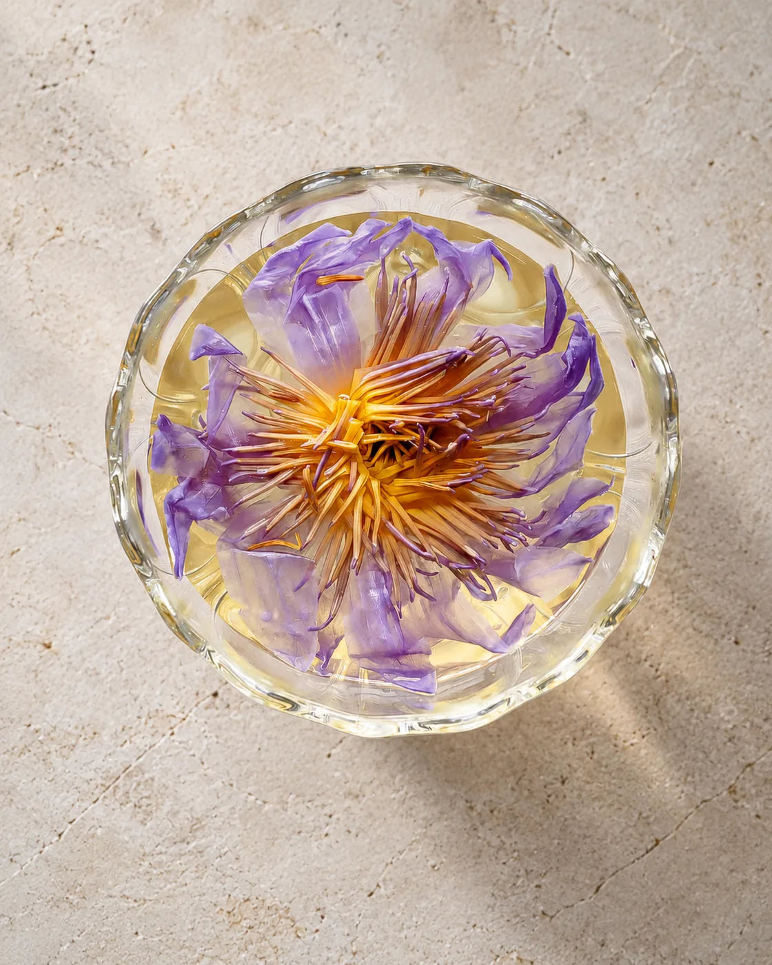 Top view of blue lotus flower tea, showing unfurled purple petals and golden stamens inside a clear glass.