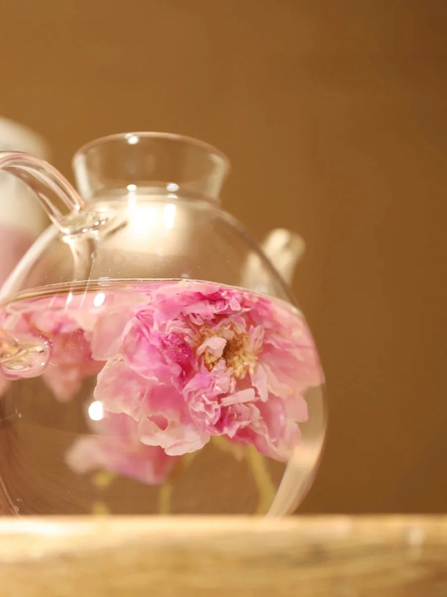 A pink flower unfurling in water inside a round glass teapot in warm natural light.