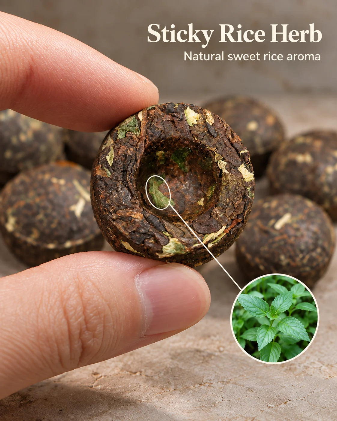 Fingers hold a mini pu-erh tuo cha, with a leaf inset identifying sticky rice herb as the source of natural sweet rice aroma.