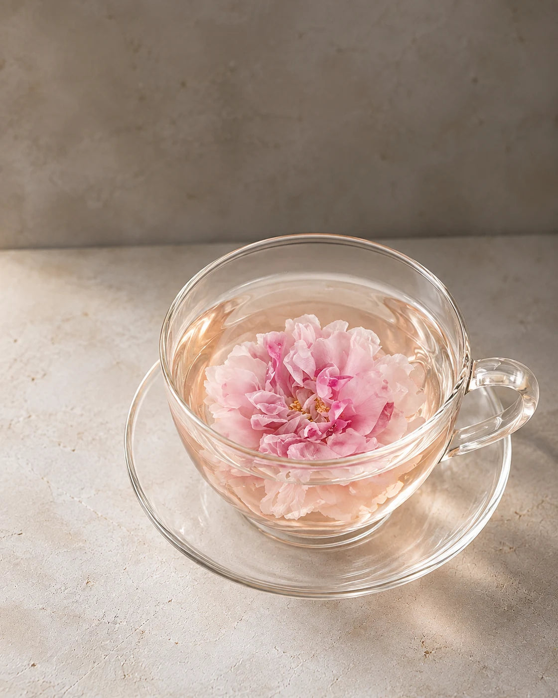 Viewed from above, a pink rose blossom opens in tea in a clear glass cup on a matching saucer.