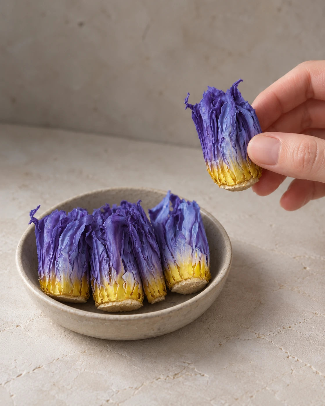 A hand holding a dried blue lotus flower with purple petals above a ceramic bowl of whole blossoms.
