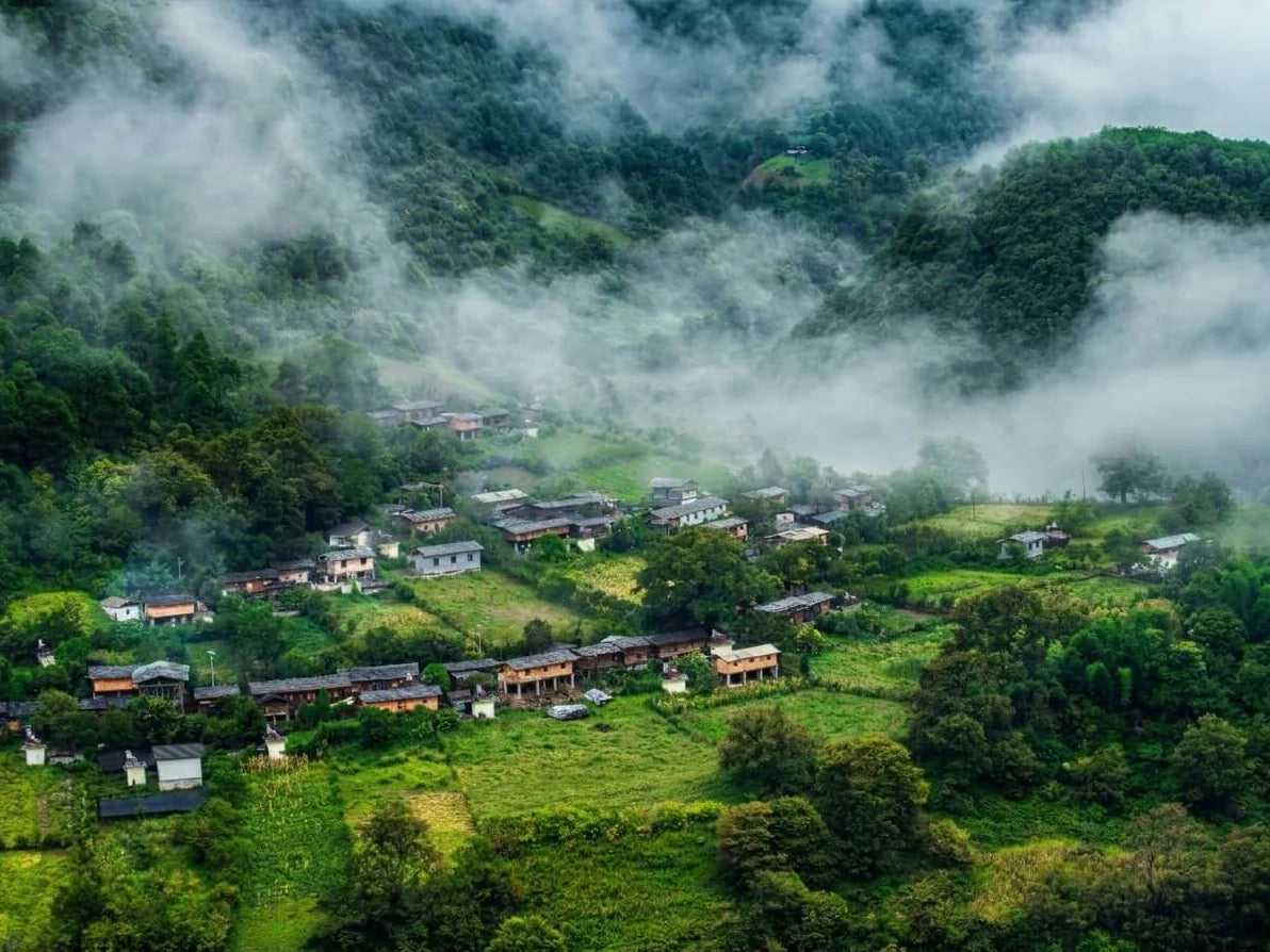 A village surrounded by green fields and forested mountains draped in mist.