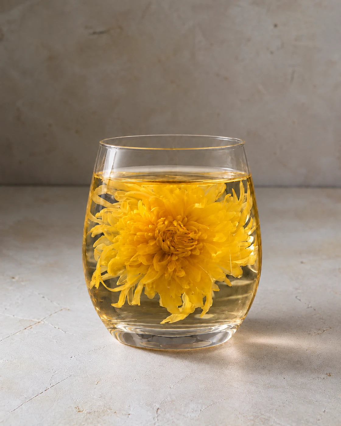 A whole royal chrysanthemum flower with unfurled yellow petals steeping in golden tea in a clear glass tumbler.